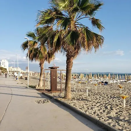 Seaside F&M